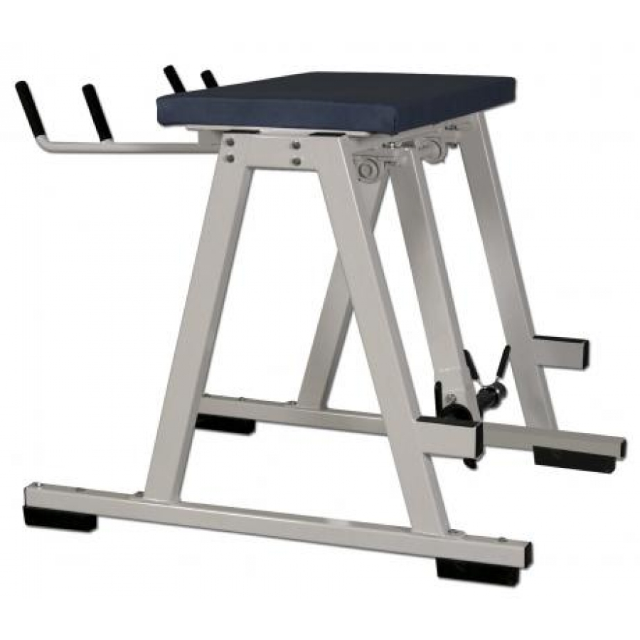 Louie Simmons Reverse Hyperextension Pro
