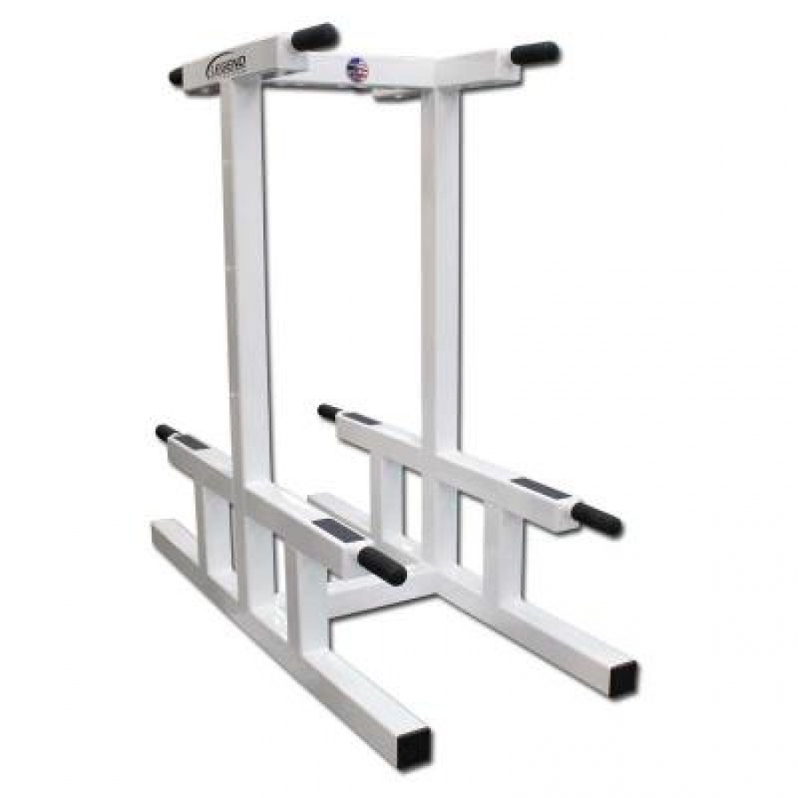 Legend Fitness Double Dip Stand